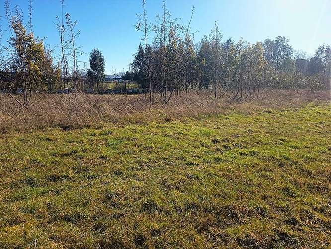 Parcela en venta en Parcelas Frutillar (187060) - Imagen 20