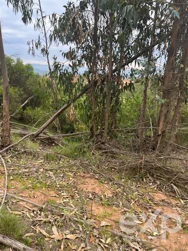 Parcela 5.000 m2 en venta en Limache