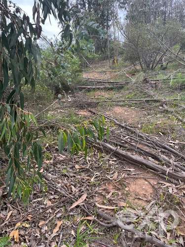 Parcela 5.000 m2 en venta en Limache