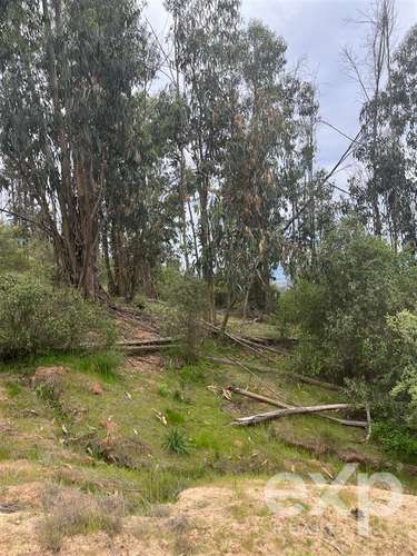 Parcela 5.000 m2 en venta en Limache