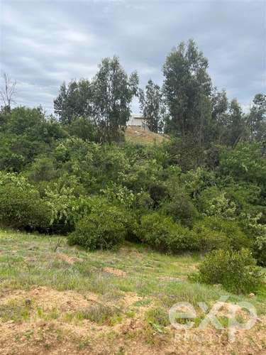 Parcela 5.000 m2 en venta en Limache