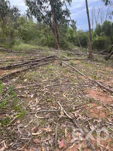Parcela 5.000 m2 en venta en Limache