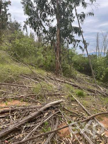 Parcela 5.000 m2 en venta en Limache