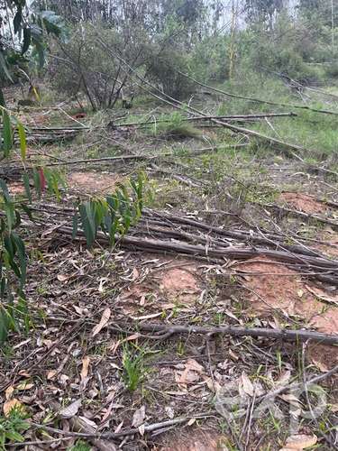 Parcela 5.000 m2 en venta en Limache