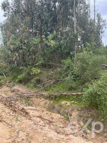 Parcela 5.000 m2 en venta en Limache