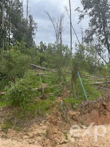 Parcela 5.000 m2 en venta en Limache