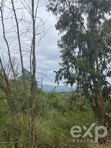 Parcela 5.000 m2 en venta en Limache