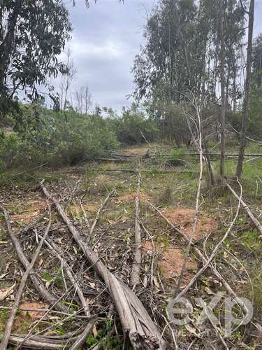 Parcela 5.000 m2 en venta en Limache