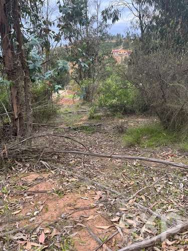 Parcela 5.000 m2 en venta en Limache