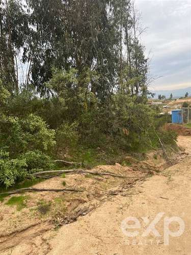 Parcela 5.000 m2 en venta en Limache