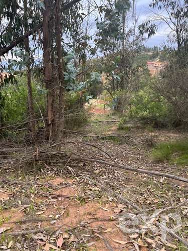 Parcela 5.000 m2 en venta en Limache