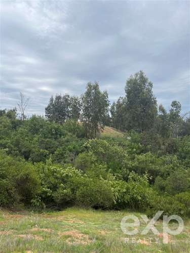Parcela 5.000 m2 en venta en Limache