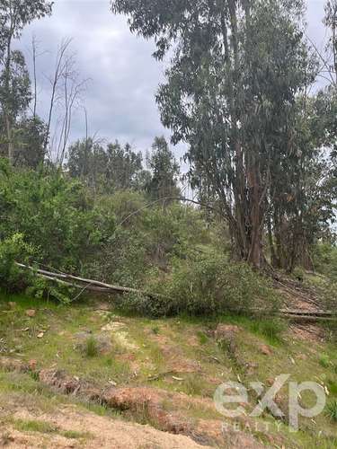 Parcela 5.000 m2 en venta en Limache