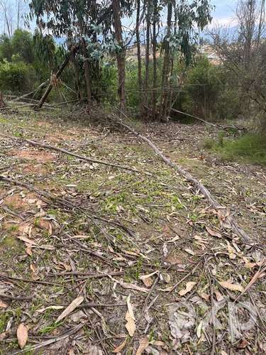 Parcela 5.000 m2 en venta en Limache