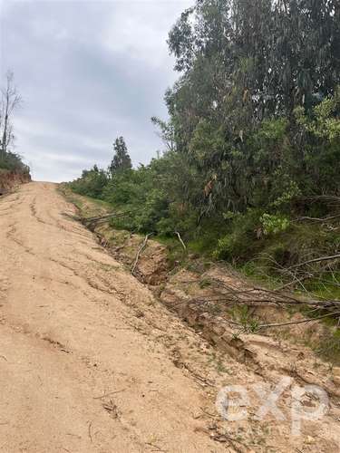 Parcela 5.000 m2 en venta en Limache