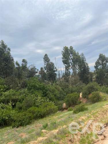 Parcela 5.000 m2 en venta en Limache