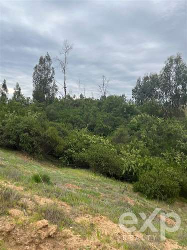 Parcela 5.000 m2 en venta en Limache