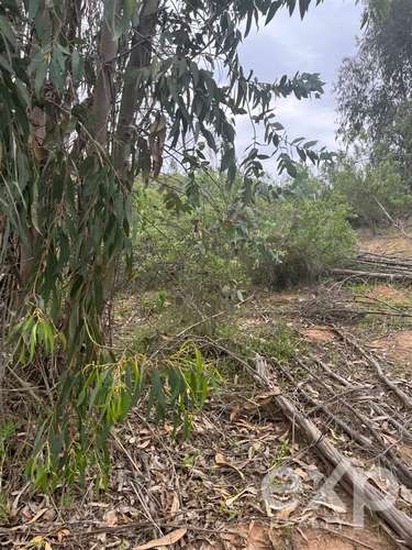 Parcela 5.000 m2 en venta en Limache