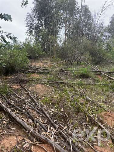 Parcela 5.000 m2 en venta en Limache