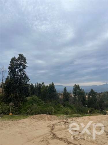 Parcela 5.000 m2 en venta en Limache
