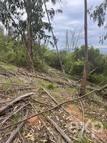 Parcela 5.000 m2 en venta en Limache