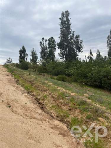 Parcela 5.000 m2 en venta en Limache