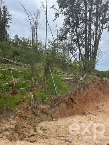 Parcela 5.000 m2 en venta en Limache