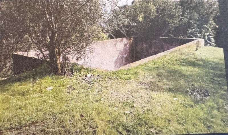 Agrícola en venta en Zapallar - Imagen 4