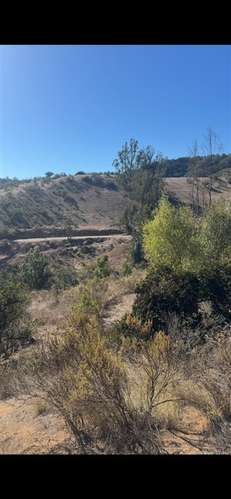 Agrícola en venta en Zapallar