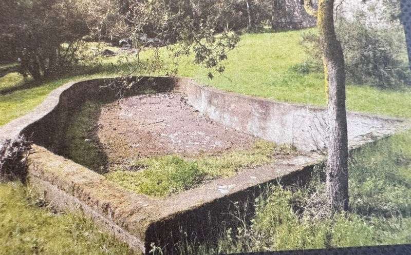 Agrícola en venta en Zapallar - Imagen 5