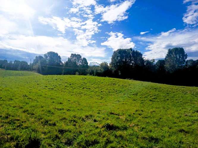 Conectividad y Tranquilidad en el Campo (187163) - Imagen 8