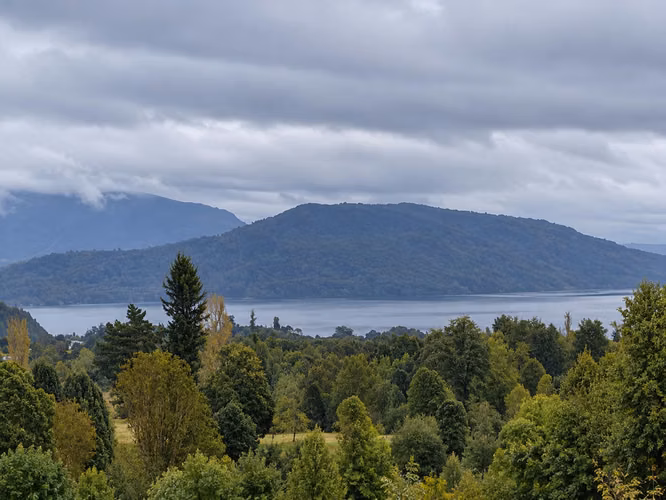 Campo 120 Ha: 50 Ha Agrícolas, 70 Ha de Bosque Nativo, Río y Vistas a Lagos y Volcanes