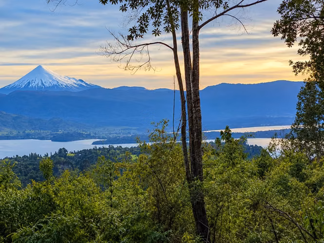 Campo 120 Ha: 50 Ha Agrícolas, 70 Ha de Bosque Nativo, Río y Vistas a Lagos y Volcanes