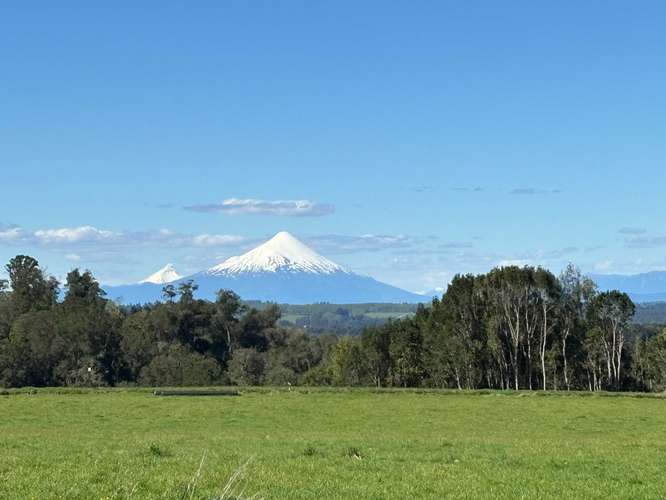 Venta de parcela en Puerto Varas (187175) - Imagen 1
