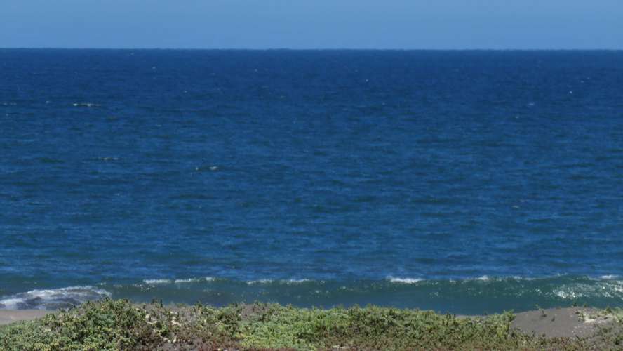 Costa Don Francisco, Tregualemu (187185)