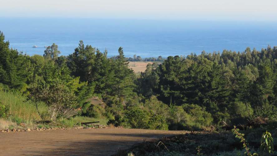 Cobquecura, Keule Campo-Mar (187197) - Imagen 7