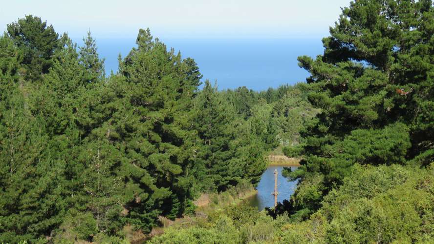 El Silencio, Laguna y Mar (187209) - Imagen 3