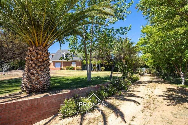 Parcela en venta en Curacaví - Imagen 4