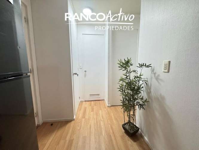 Venta Departamento 2 dormitorios U. San Sebastián Concepcion - Imagen 8