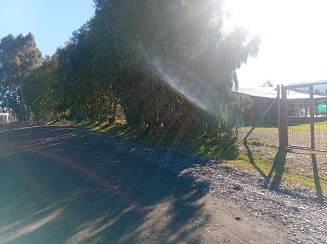 PARCELA CON CASA EN CHILLAN