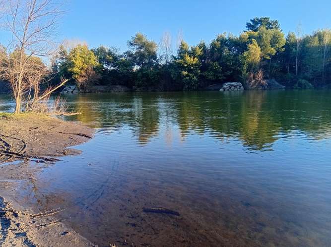 PARCELA CON CASA EN CHILLAN