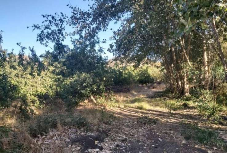 Hermosas Parcelas en Portezuelo, comuna de Rengo