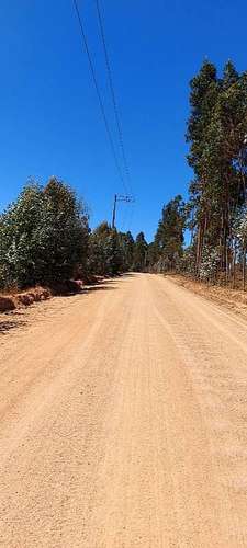 PARCELA EL PERAL A 25 MIN DE PLAYA. CARDENAL CARO,