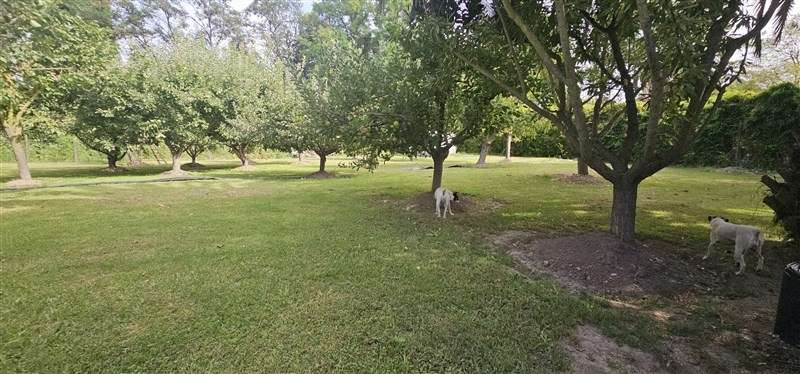 Parcela en venta en Calera de Tango - Imagen 9