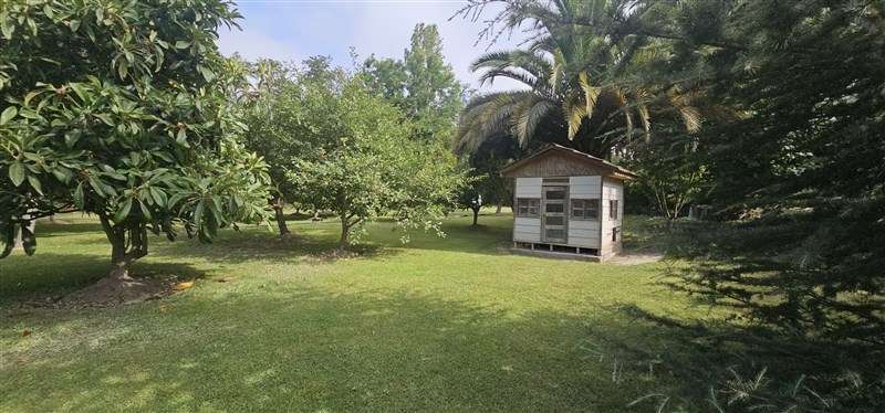 Parcela en venta en Calera de Tango - Imagen 8