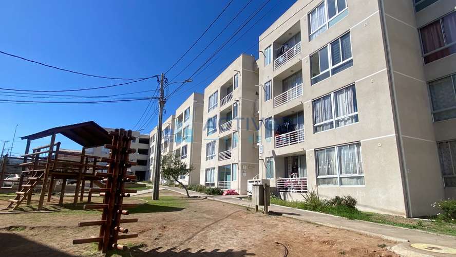 Compañia Baja, La Serena