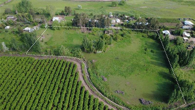 VENTA TERRENO AGRÍCOLA DE 2,25 HECTÁREAS LOS CUNCOS