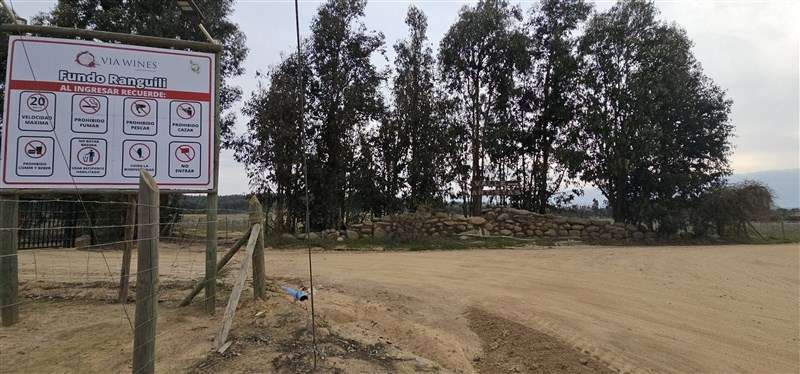 Parcela en venta en Hualañe - Imagen 8