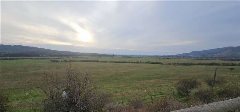 Parcela en venta en Hualañe - Imagen 11