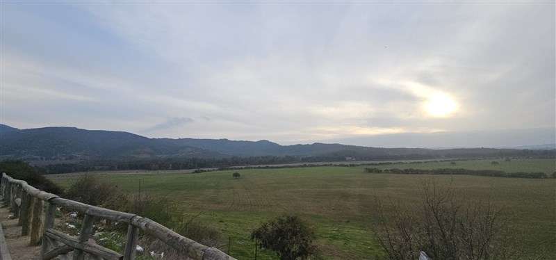 Parcela en venta en Hualañe - Imagen 12